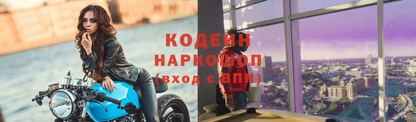ПСИЛОЦИБИНОВЫЕ ГРИБЫ Иннополис