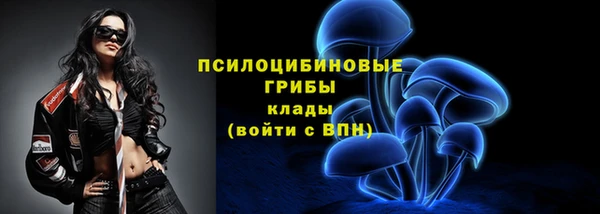 скорость Инта