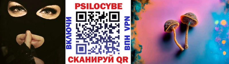 купить закладку  Ковдор  Галлюциногенные грибы Magic Shrooms 