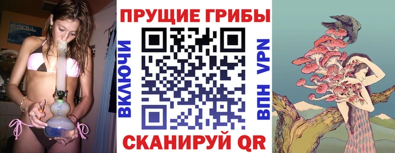 Псилоцибиновые грибы MAGIC MUSHROOMS Ковдор